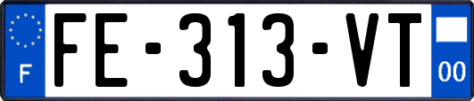 FE-313-VT