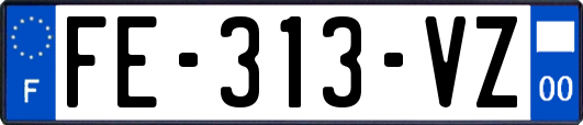 FE-313-VZ
