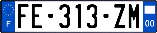 FE-313-ZM