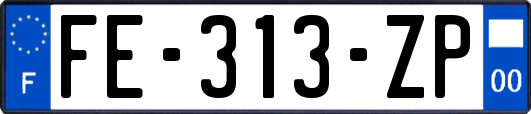 FE-313-ZP