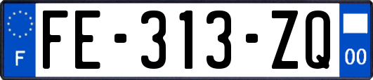 FE-313-ZQ