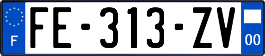 FE-313-ZV