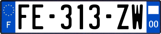 FE-313-ZW