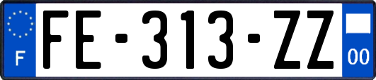 FE-313-ZZ