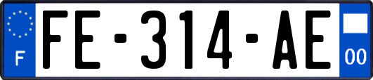 FE-314-AE