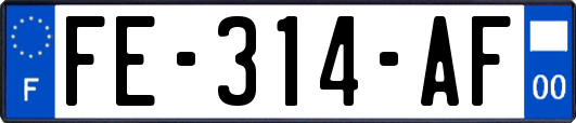 FE-314-AF