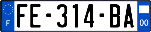 FE-314-BA