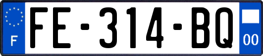 FE-314-BQ