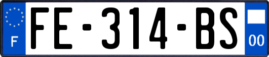 FE-314-BS