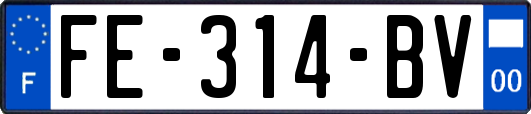 FE-314-BV