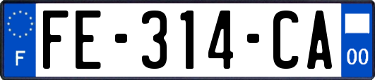 FE-314-CA