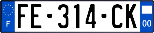 FE-314-CK