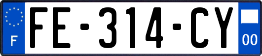 FE-314-CY