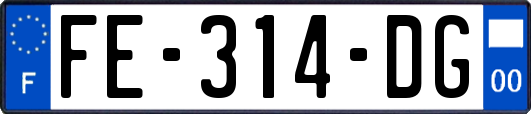 FE-314-DG