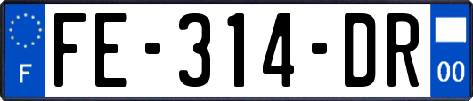FE-314-DR