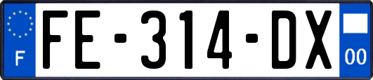 FE-314-DX
