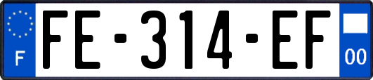 FE-314-EF