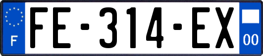 FE-314-EX