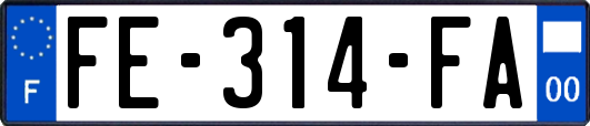 FE-314-FA