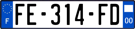 FE-314-FD