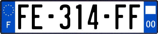 FE-314-FF