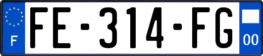 FE-314-FG