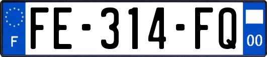 FE-314-FQ