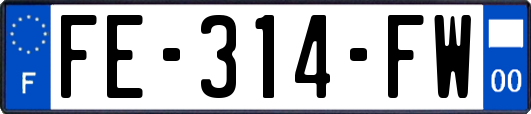 FE-314-FW