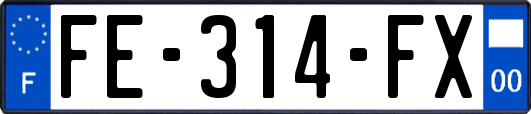 FE-314-FX