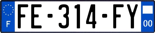 FE-314-FY