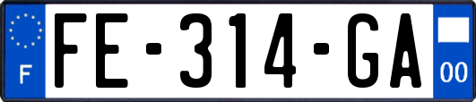 FE-314-GA