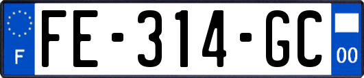 FE-314-GC