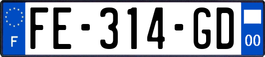 FE-314-GD