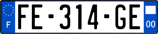 FE-314-GE