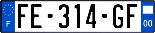 FE-314-GF
