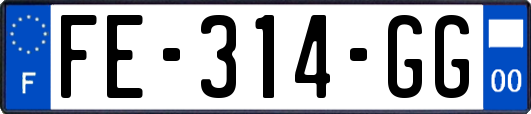 FE-314-GG