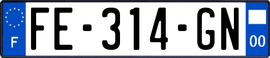 FE-314-GN