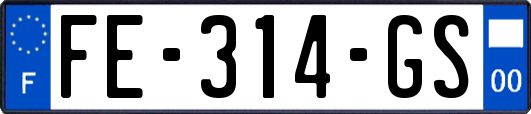 FE-314-GS