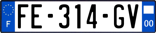 FE-314-GV