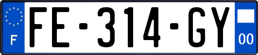 FE-314-GY