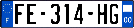 FE-314-HG