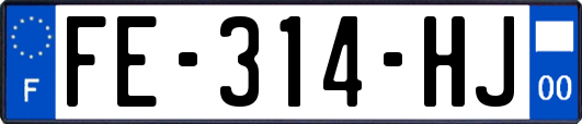 FE-314-HJ