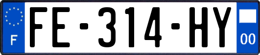 FE-314-HY