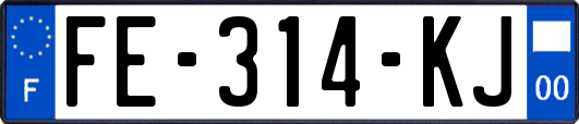 FE-314-KJ