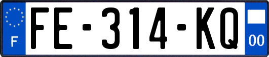 FE-314-KQ
