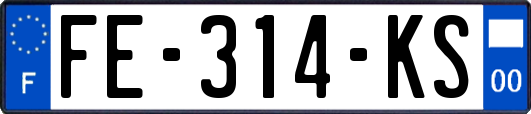 FE-314-KS