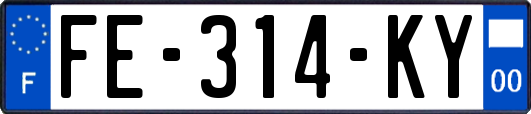 FE-314-KY