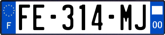 FE-314-MJ