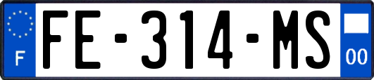 FE-314-MS