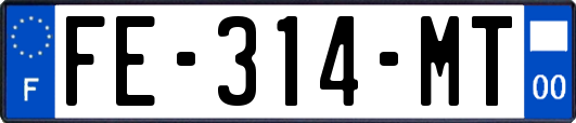 FE-314-MT